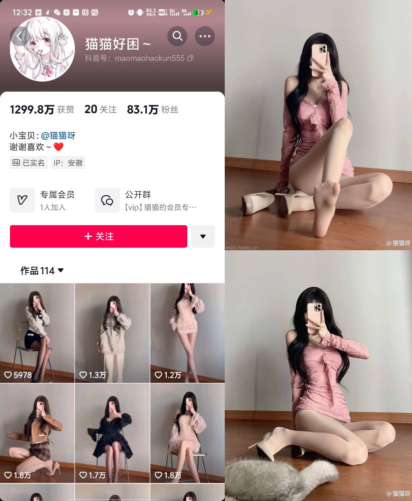 #猫猫好困 微密圈  NO.035期 【55P4V】 1.10 更-微秘空间