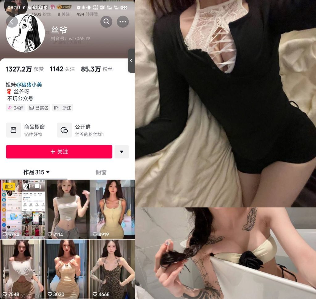 #丝爷 微密圈 NO.001期-NO.003期  【124P32V】 1.3更-微秘空间